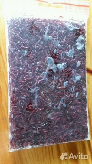 Замороженные и сухие корма для рыб