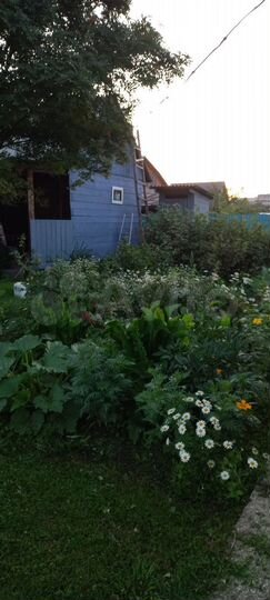 Дача 77,7 м² на участке 8 сот.