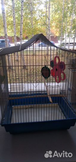 Клетка для попугая бу