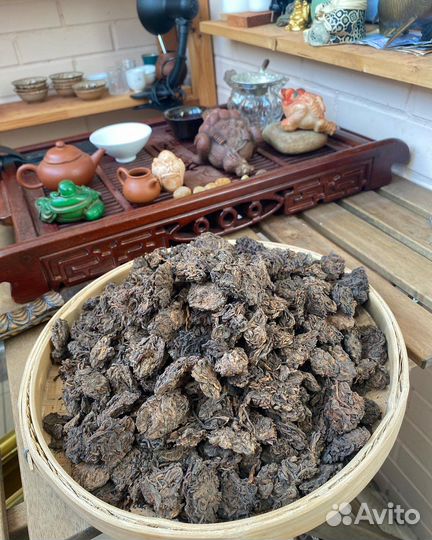 Лао Ча Тоу 2005 г