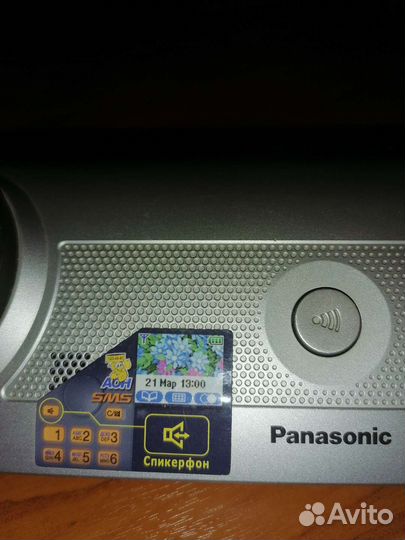 Panasonic