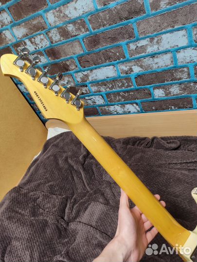 Aria Pro ii STG-VHJ (Владимир Холстинин)