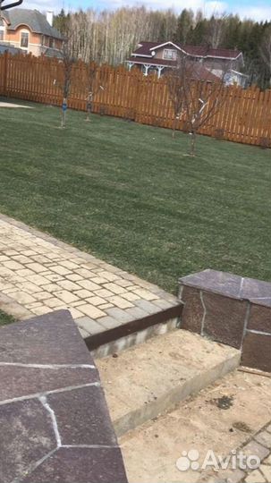 Рулонный газон от производителя