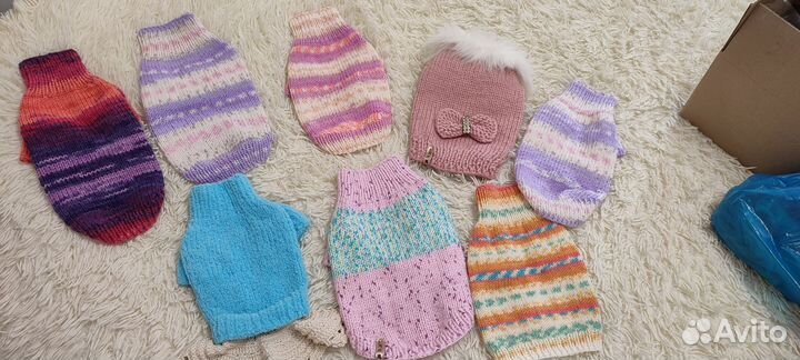 Шапочка для собаки