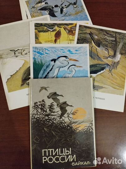 Набор открыток