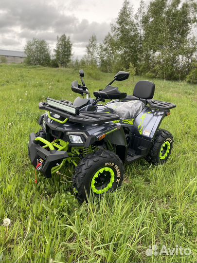 Квадроцикл 2023 wild track X winch