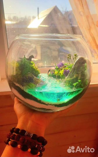 Флорариум