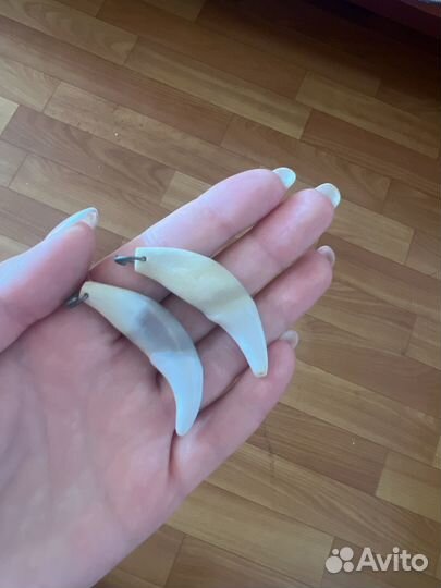 Продам настоящий волчий клык