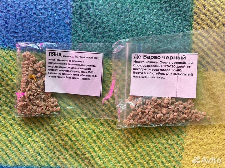 Томаты рассада