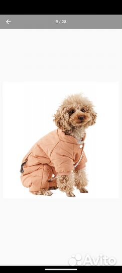 Комбинезон зимний petmax