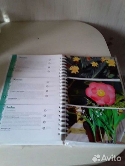 Книга лучшие цветы