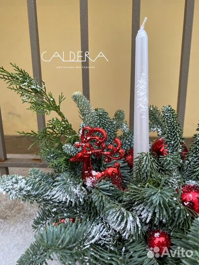 Зимняя композиция из нобилиса (не осыпается)