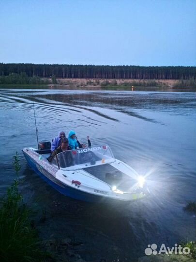 Neptun 3 tohatsu 40