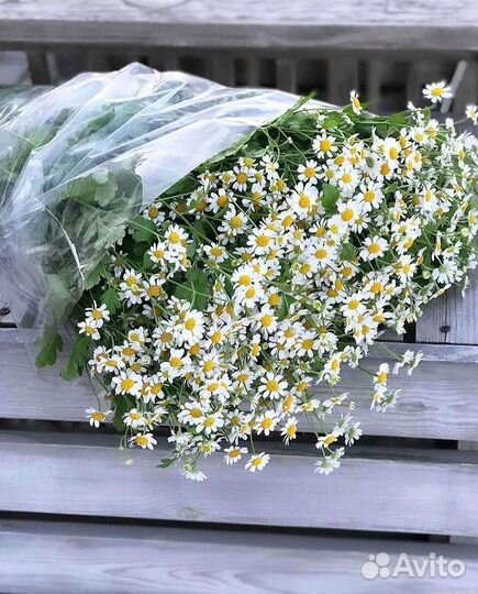 Букеты. Доставка ромашек