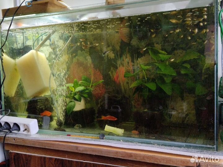 Аквариум