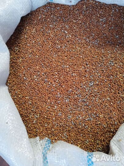 Корм для кур-несушек