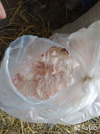 Корм для собак, для животных