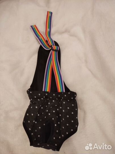 Одежда для собак