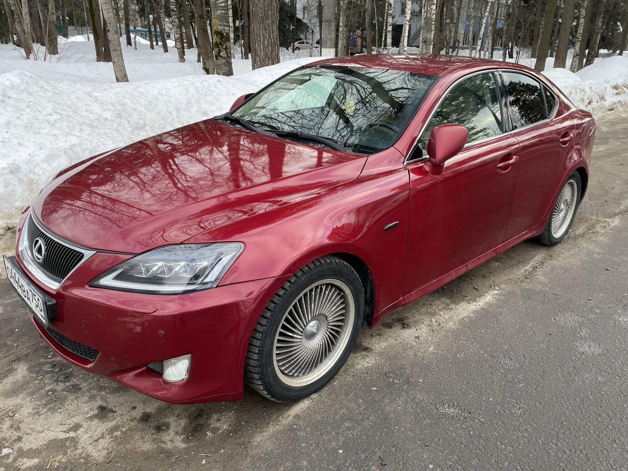 Lexus IS: фото владельца