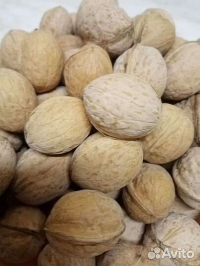 Грецкий орех в скорлупе