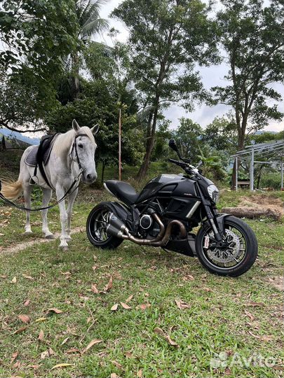Прокат мотоцикла Ducati Diavel S Carbon