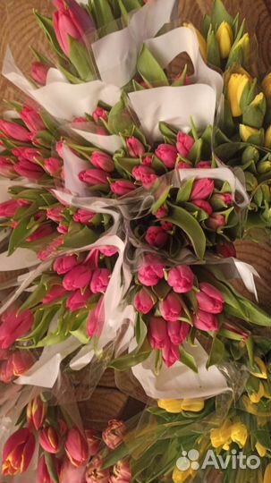 Тюльпаны к 8 марта