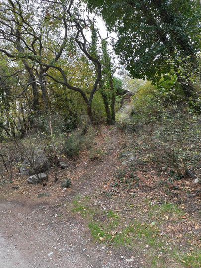 Участок 4,2 сот. (ИЖС)