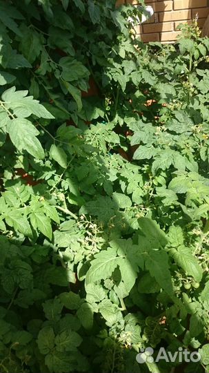 Вертикальная грядка/Теплая грядка/Кашпо/Вазон