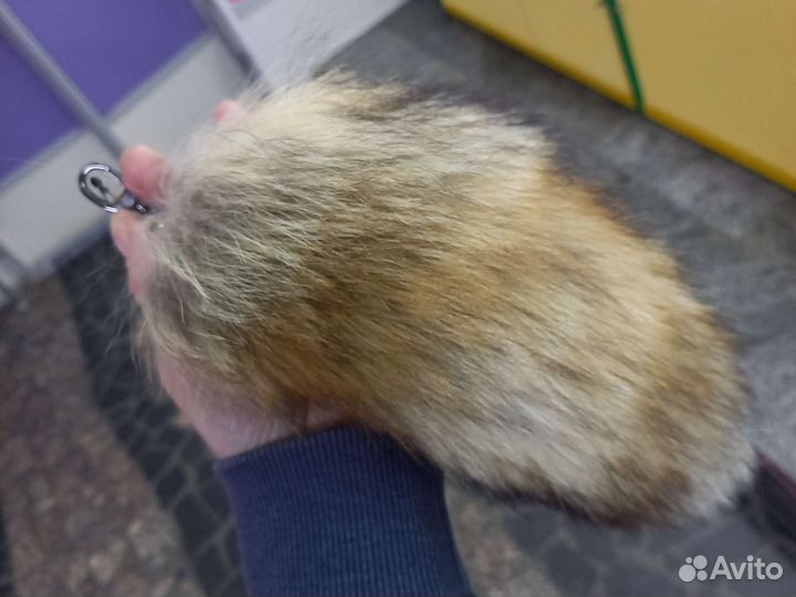 Лисий хвост (брелок)