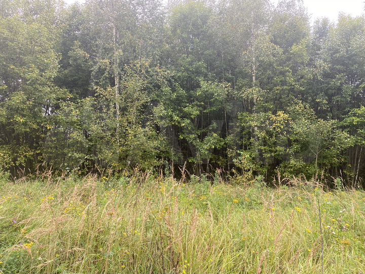 Участок 11 сот. (СНТ, ДНП)