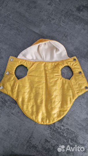 Одежда для животных