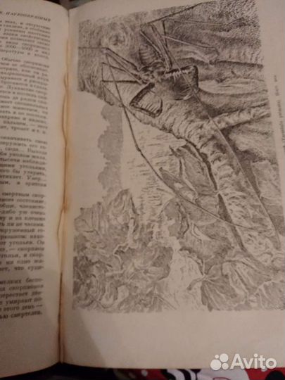 Жизнь животных по А.Э.Брему