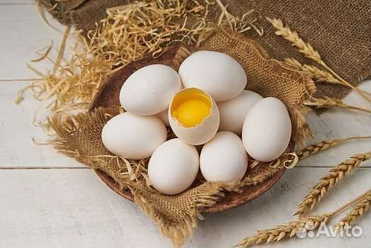 Творог, сметана, молоко и копченые деликатесы