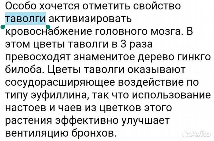 Таволга,рэо