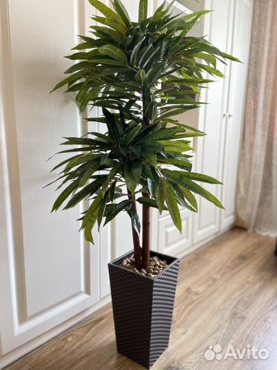 Искусственные цветы, дерево, пальма