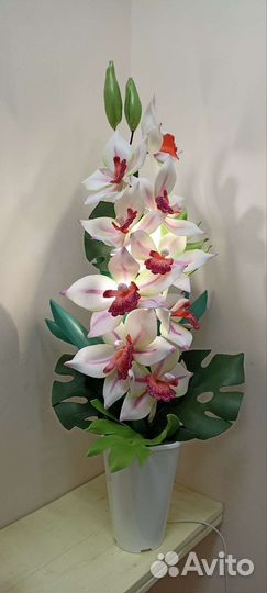 Орхидея цимбидиум