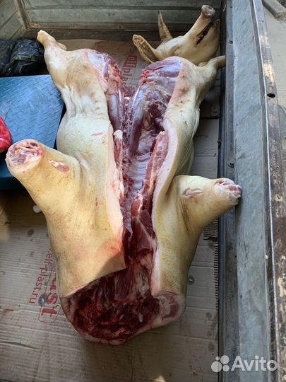 Мясо свинина домашняя