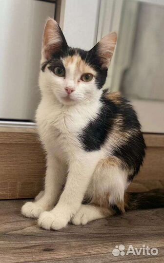 Малышка Нюша ищет любящую семью