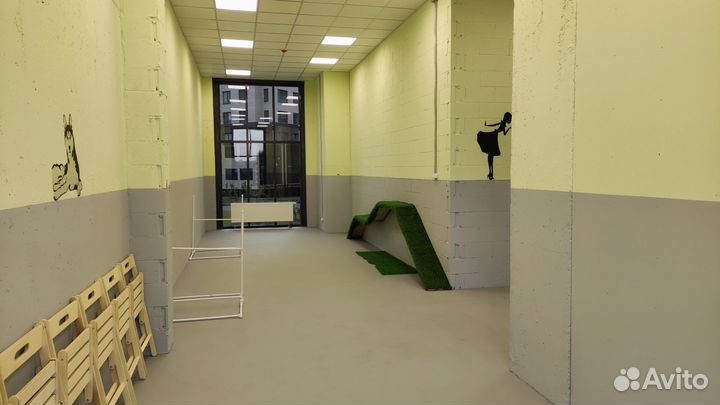 Групповая дрессировка собак