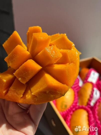 Манго Фрукт
