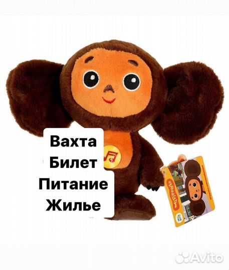 Сборщик мягких игрушек вахта билет жилье еда