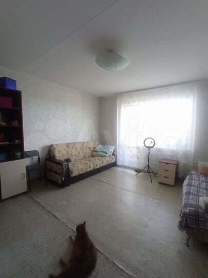 Комната 18,8 м² в 4-к., 13/17 эт.