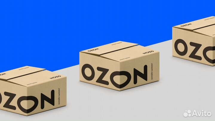 Водитель на Ford Transit в Ozon