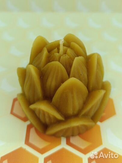 Свеча из пчелиного воска, медитации, лотос