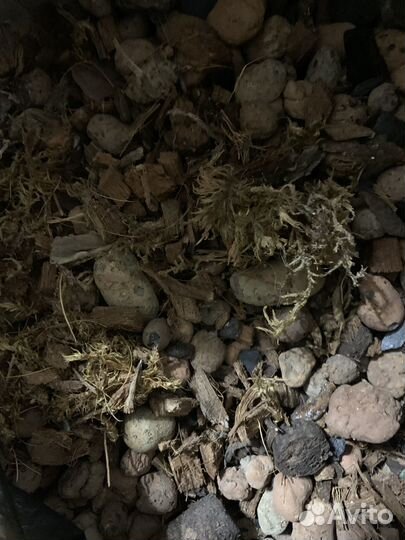 Почва для орхидей