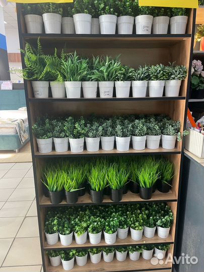 Искусственные растения