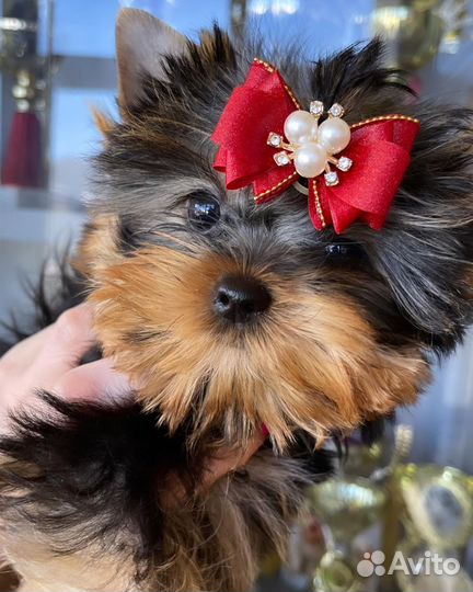 Мини девочка кукла vip