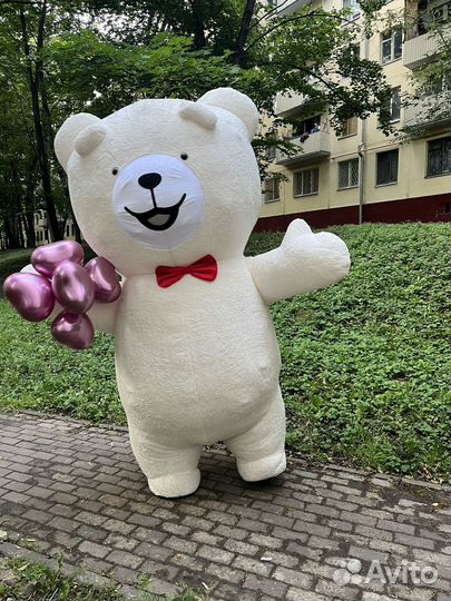 Мишка Тедди на Ваш Праздник