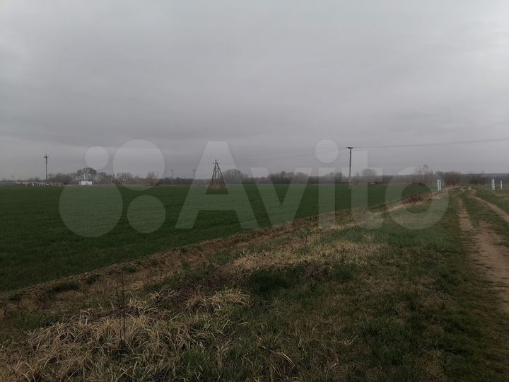 Участок 6,89 га (СНТ, ДНП)