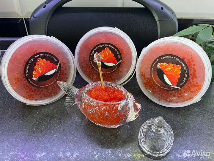 Красная икра горбуши 2023 года